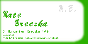 mate brecska business card