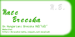 mate brecska business card